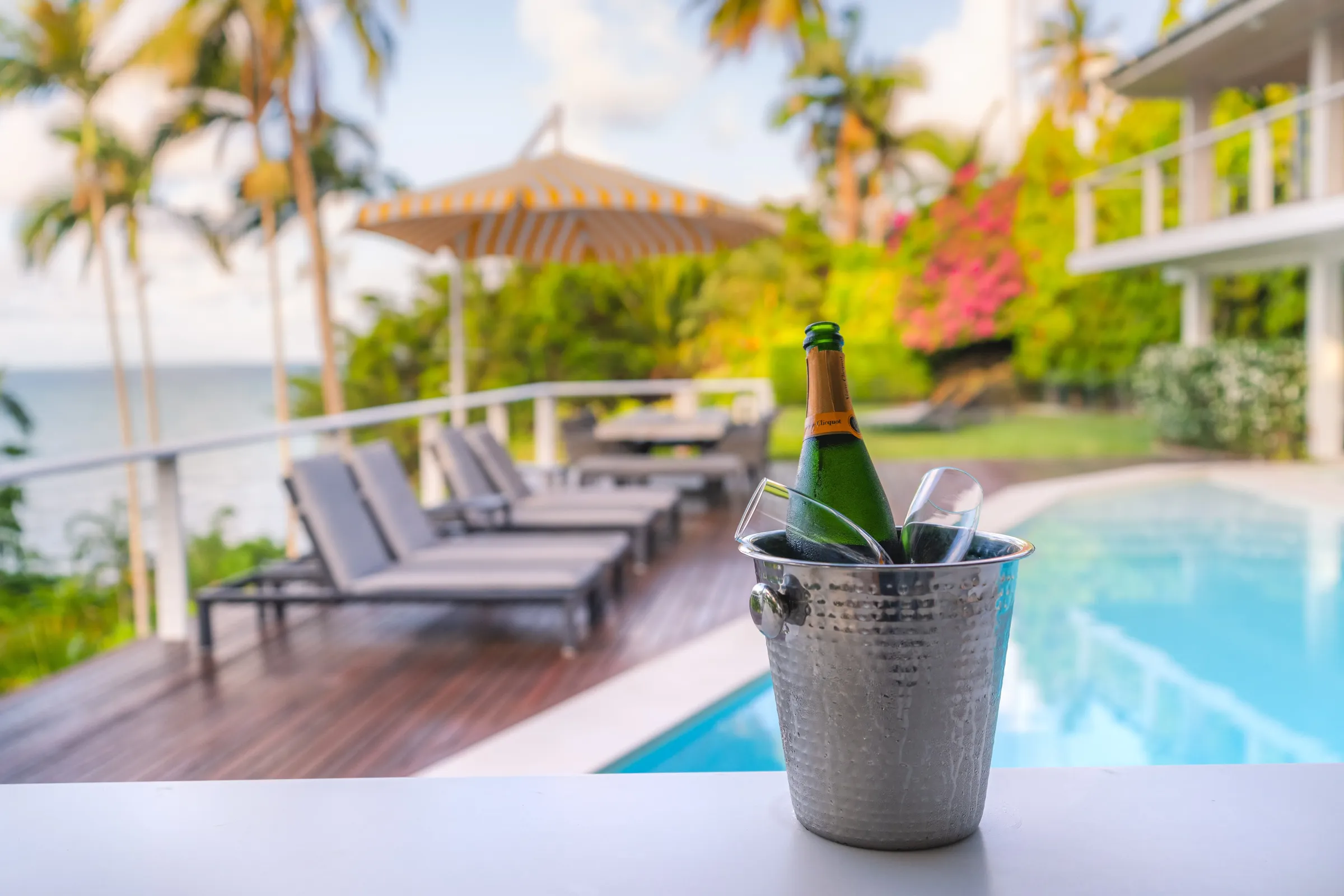 Champagne bottle in an ice bucket beside the pool at Havana Port Douglas with sun loungers, striped umbrella, bougainvillea, palm trees, and Coral Sea views in the background