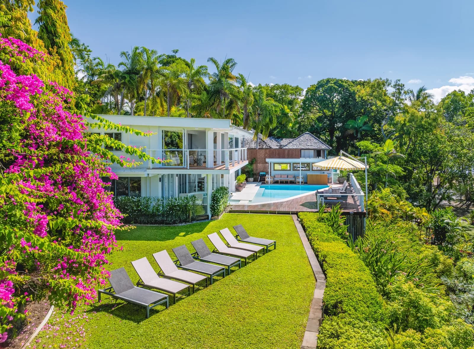 Elevated view of Havana Port Douglas showing the white two-storey house, pool, manicured lawn with row of sun loungers, vibrant pink bougainvillea, and lush tropical gardens