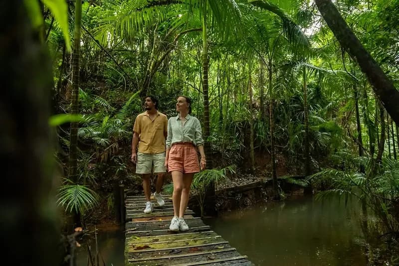 Daintree Rainforest canopy and river
